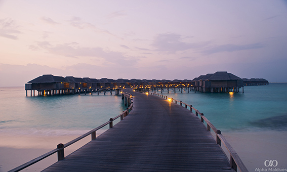 Maldives Luxury Resorts - Alpha Maldives Holidays & Honeymoons