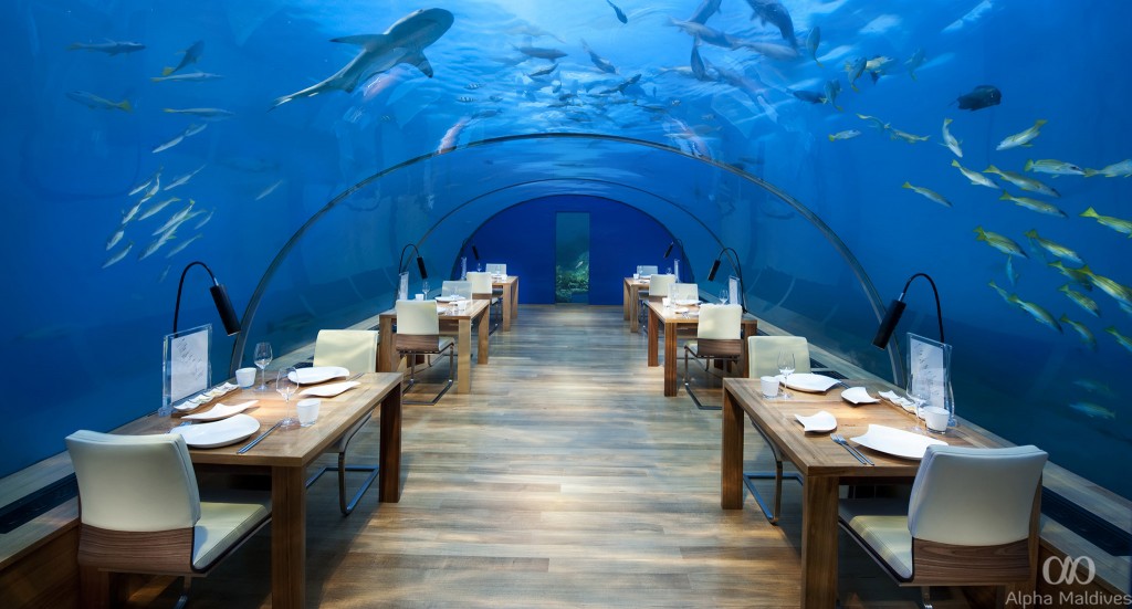 Conrad Maldives_Ithaa Undersea Restaurant