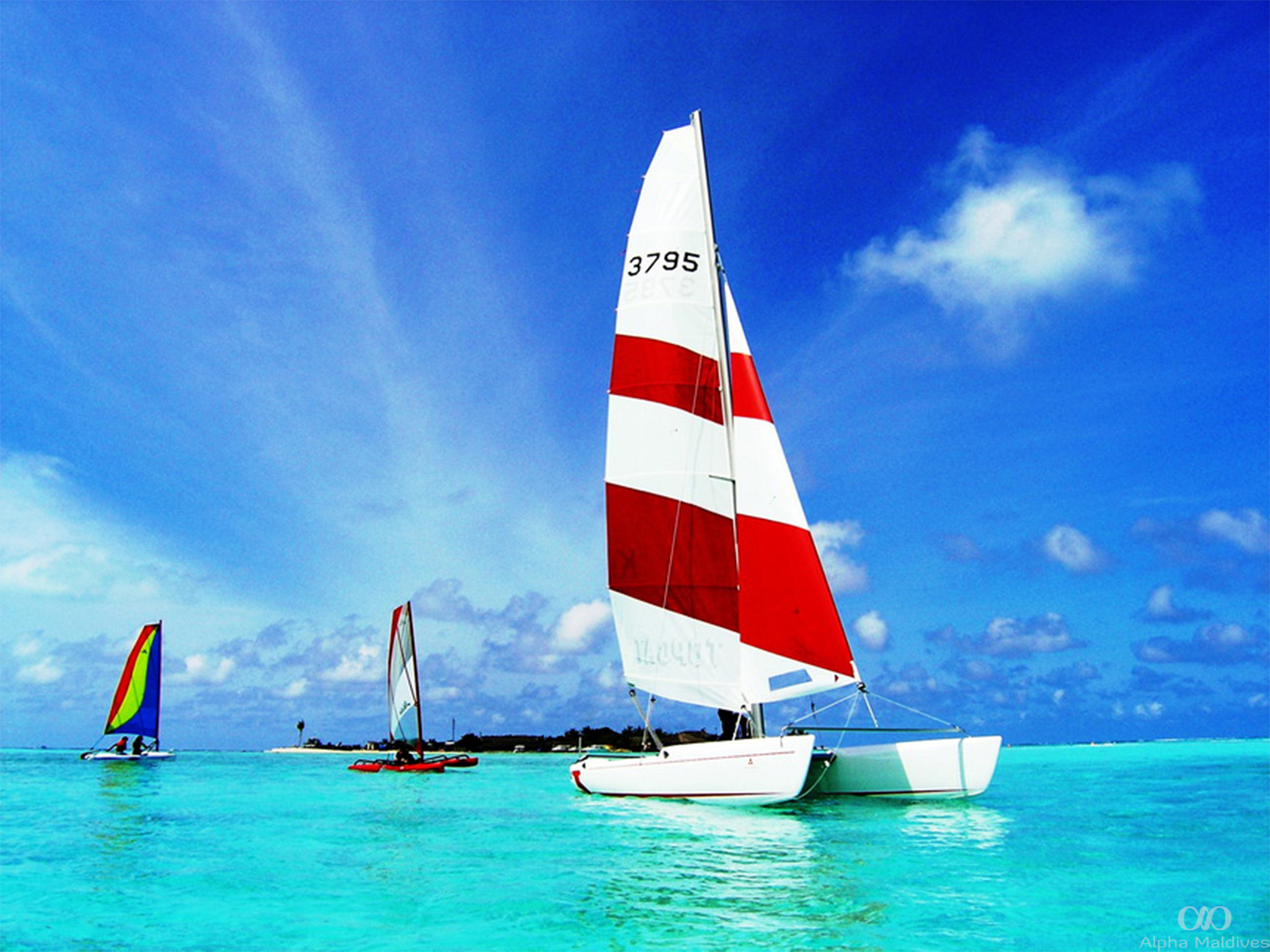 island catamaran sailboat